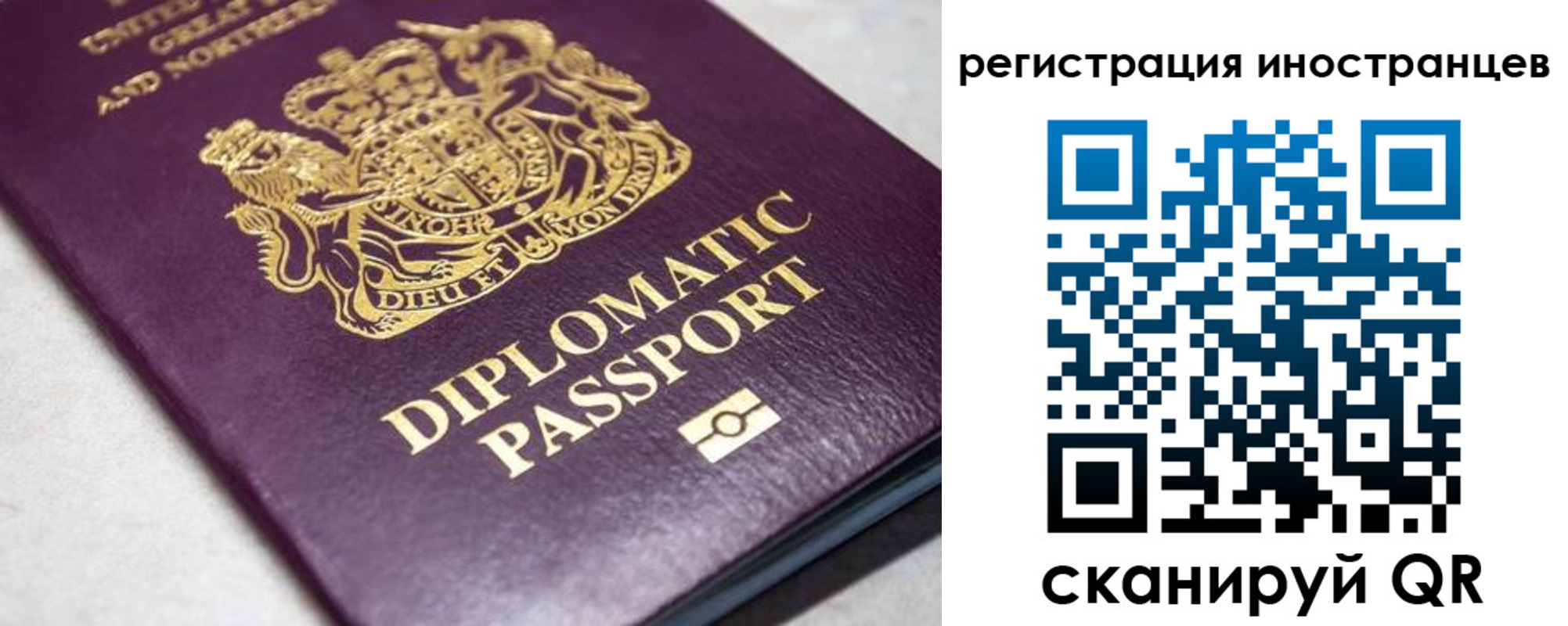 временная регистрация законно в Светлогорске